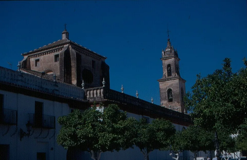 Olivares