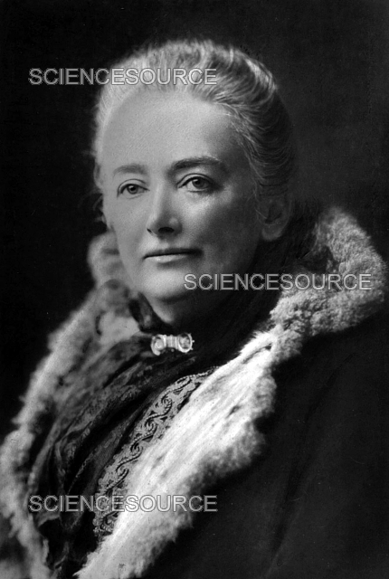 Amelia Ann Blanford Edwards