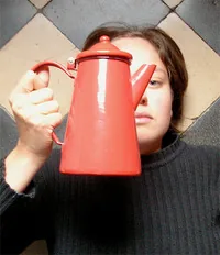 Anne Herbauts