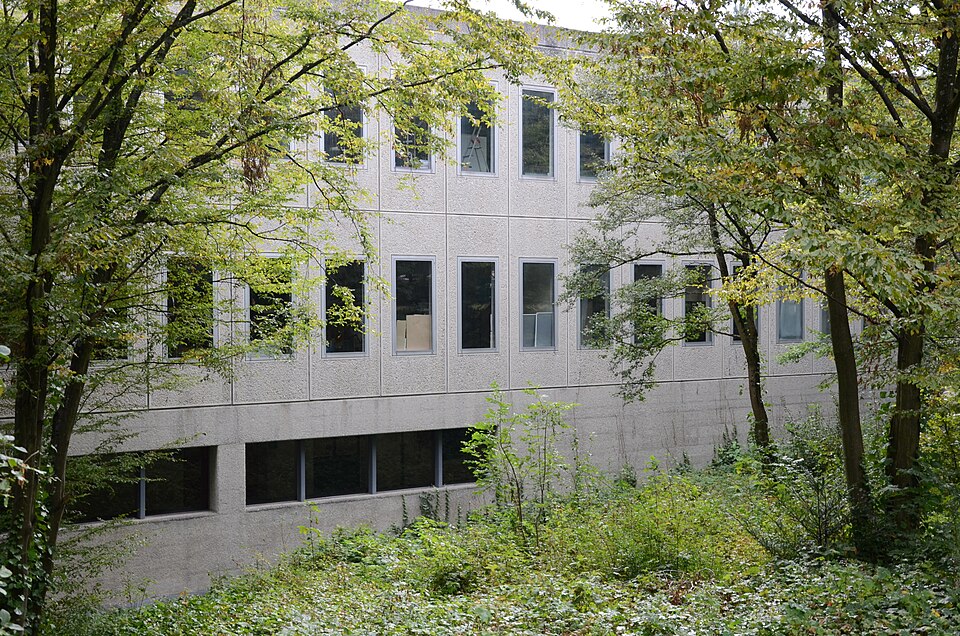 International Labour