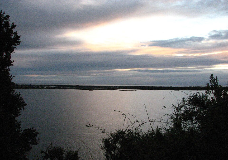 Loreto Gatica