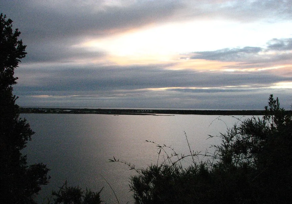 Loreto Gatica