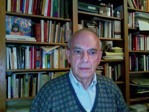 Marcello Carmagnani
