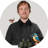 Matt Sewell