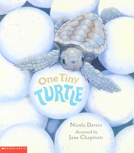 One Tiny Turtle cover