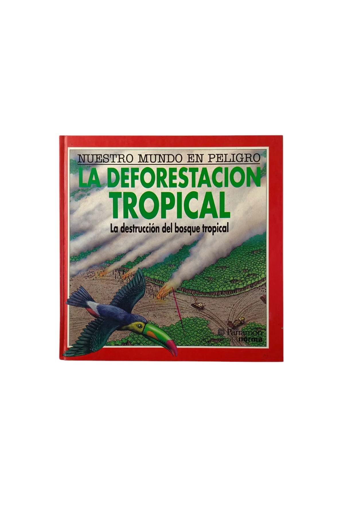 La deforestacion tropical.La destruccion del bosque tropical