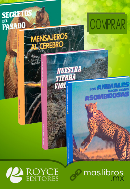 Los animales hacen cosas asombrosas cover