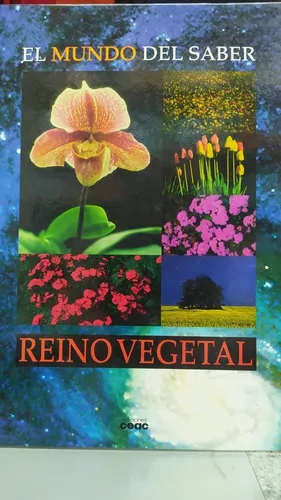 El Mundo del Saber cover