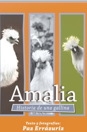 Amalia historia de una gallina cover