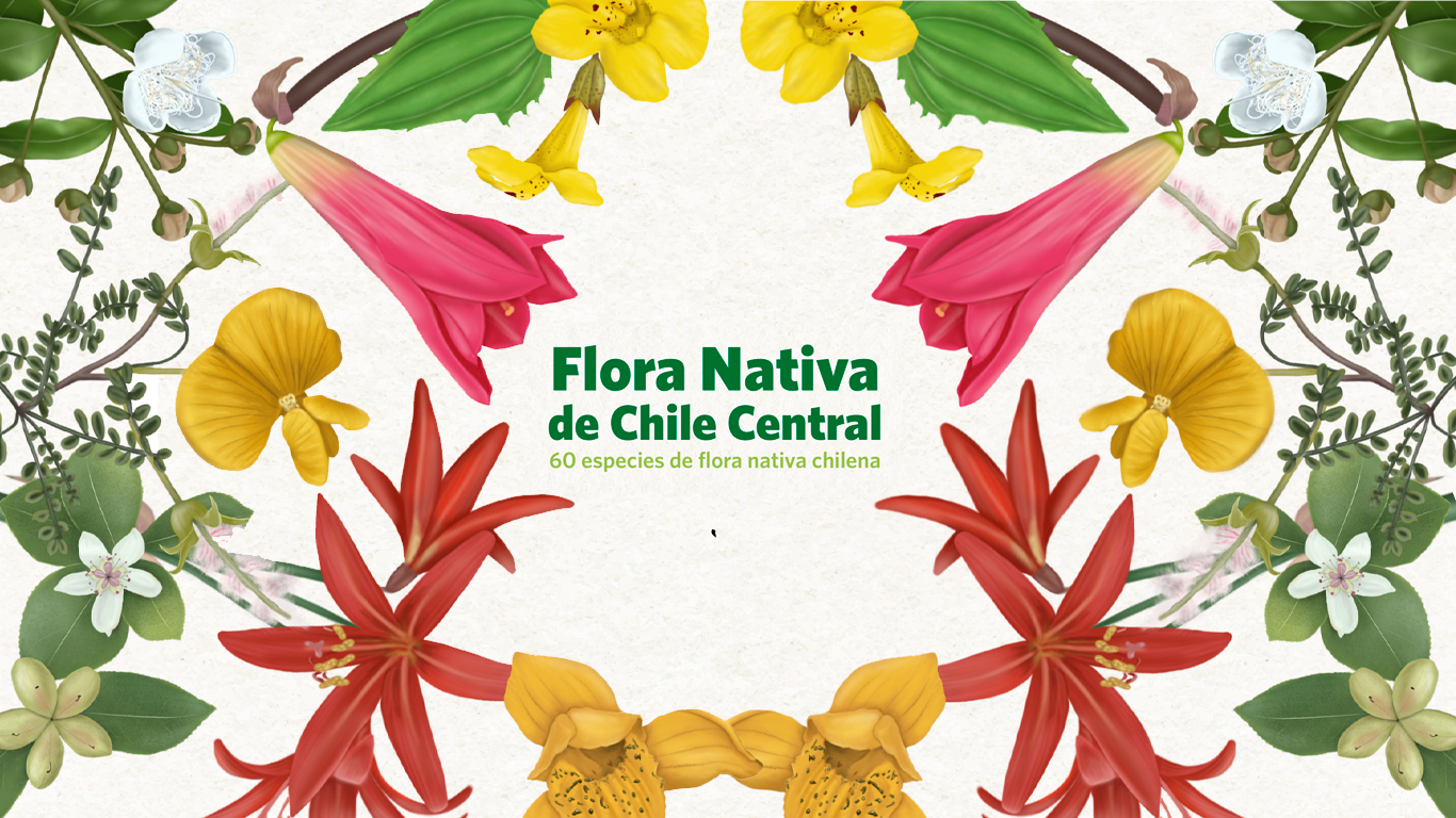 50 flores nativas