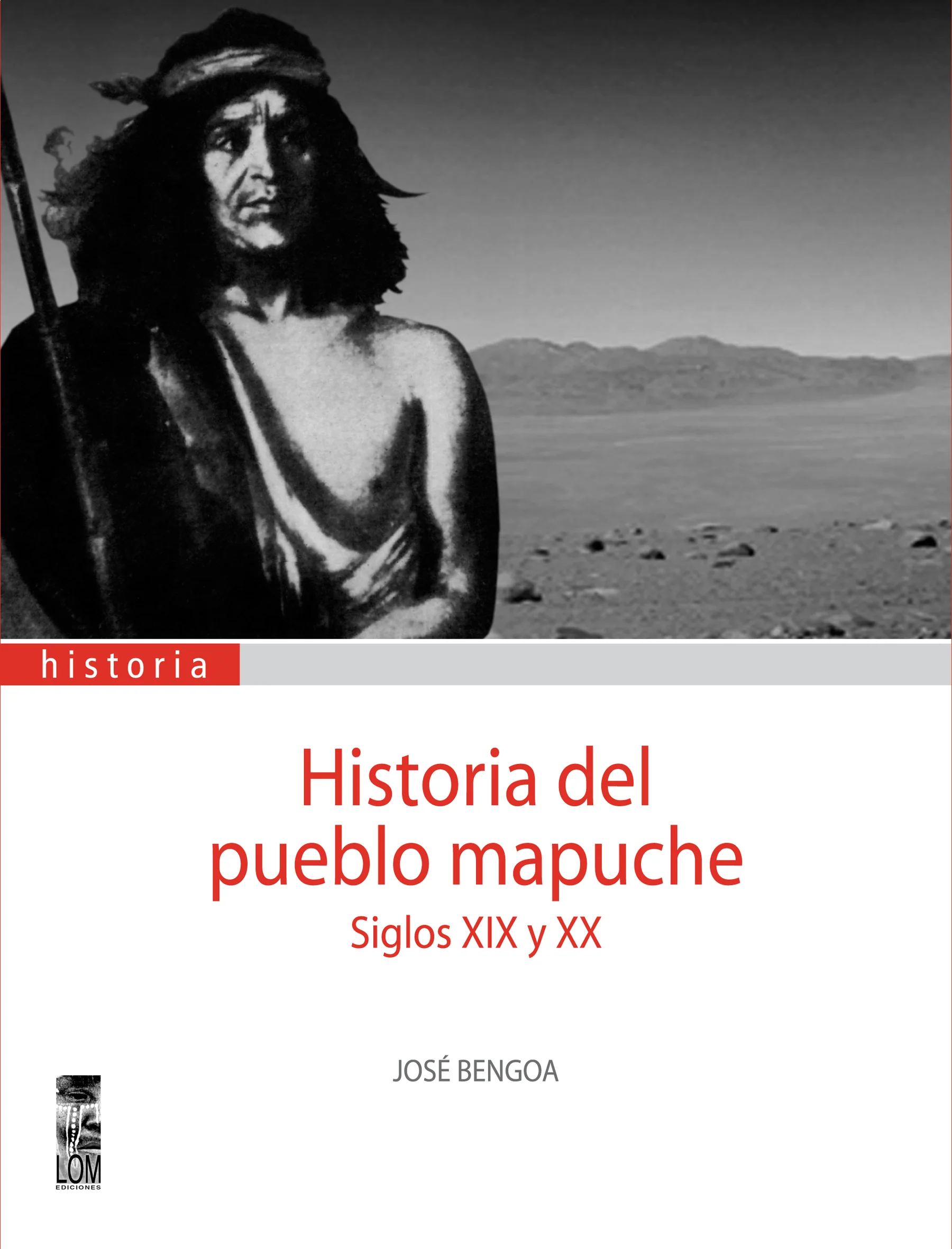 Historia del Pueblo Mapuche