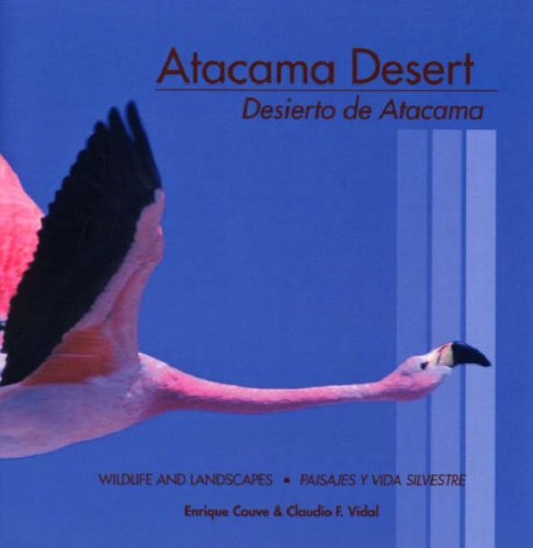 Atacama Desert
