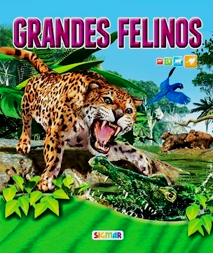 Grandes Felinos