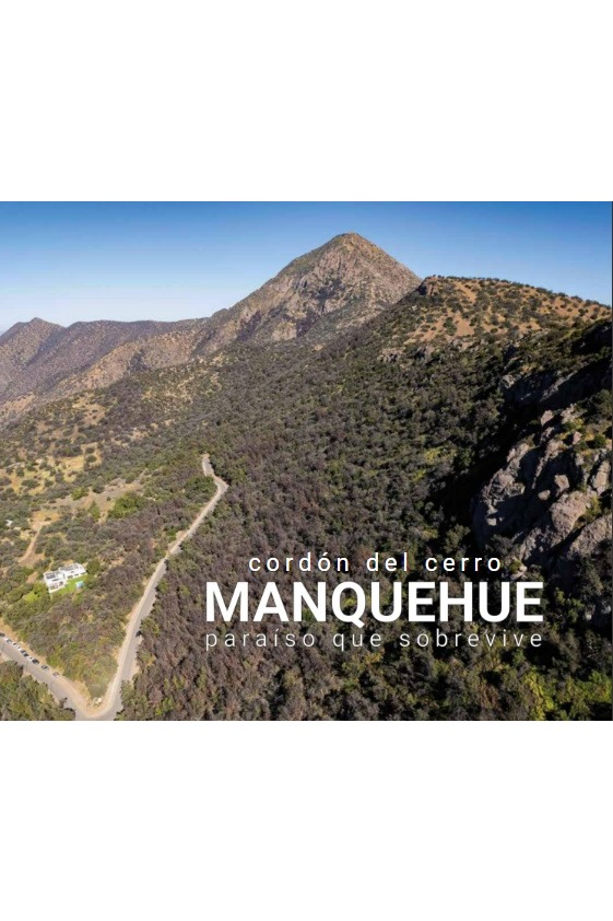 Cordón del cerro Manquehue paraíso que sobrevive