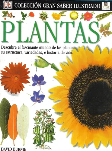 Plantas