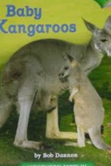 La cría de los canguros cover