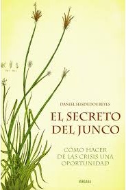 El secreto del junco cover
