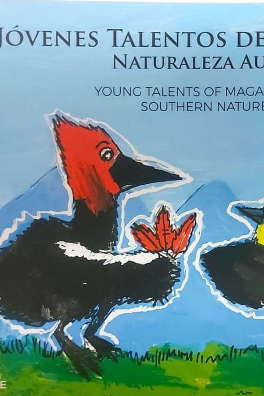 Jóvenes talentos de Magallanes, naturaleza austral cover