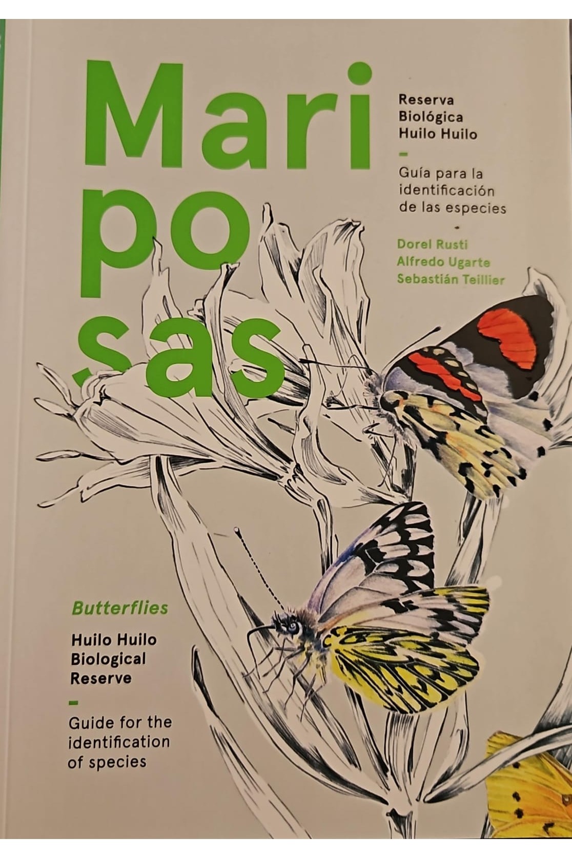 Mariposas: Reserva Biológica Huilo Huilo