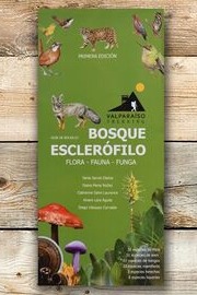 Bosque esclerófilo