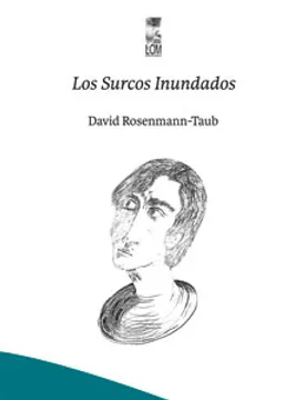 Los Surcos Inundados