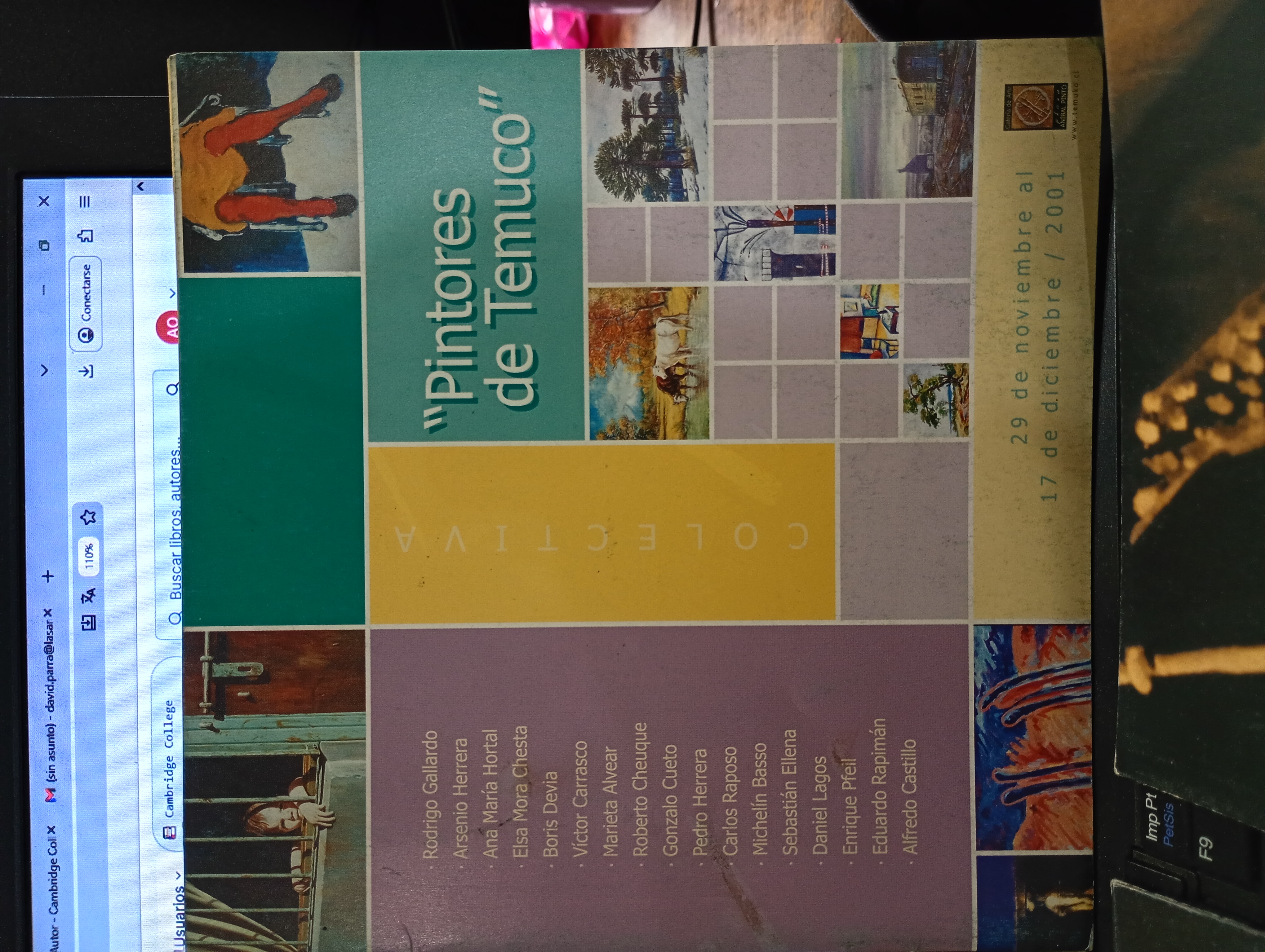 "PINTORES DE TEMUCO" cover