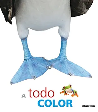 A todo color cover