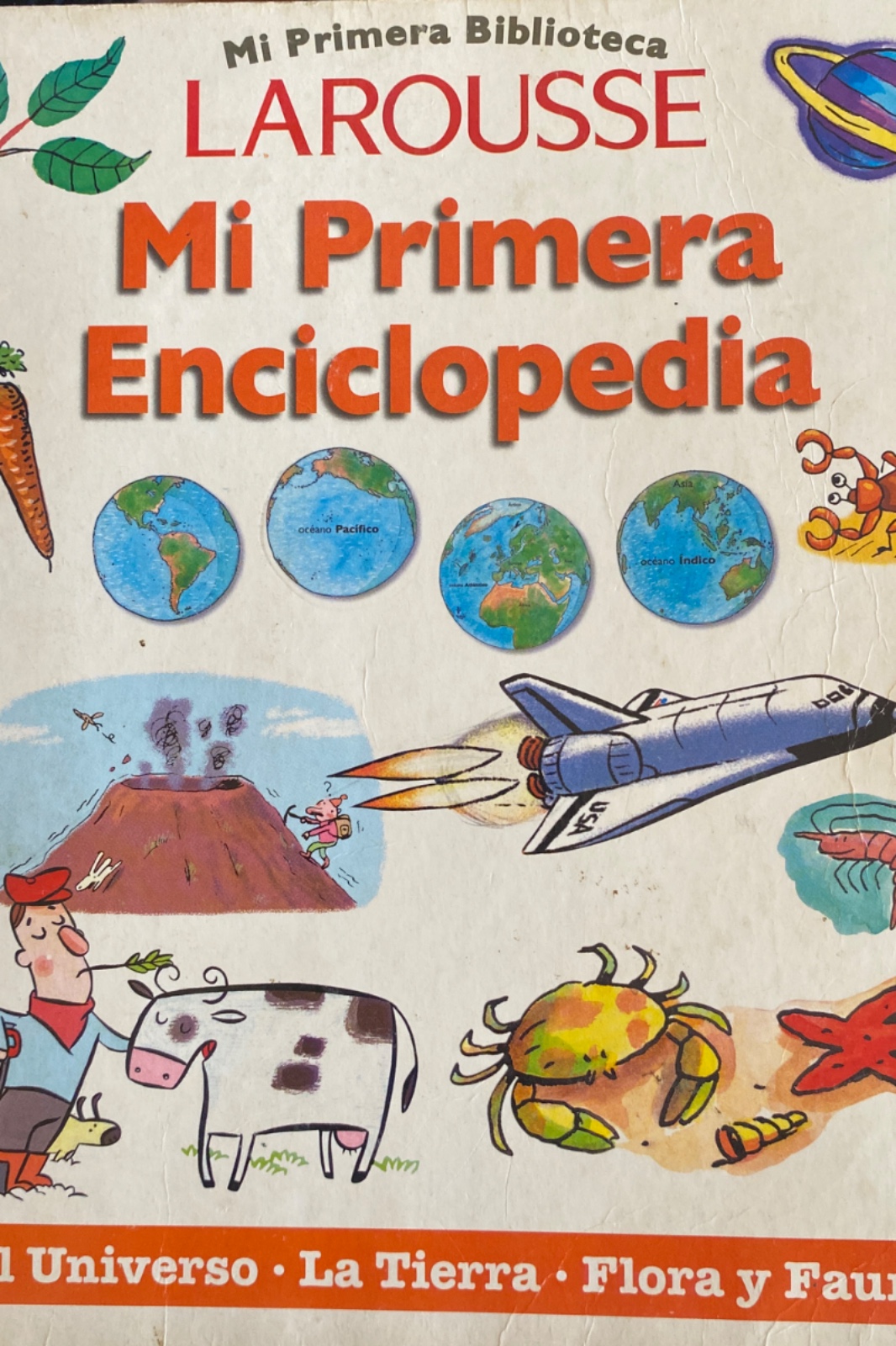 Mi primera enciclopedia. El universo. La tierra. Flora y fauna