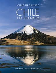 Chile en Silencio cover