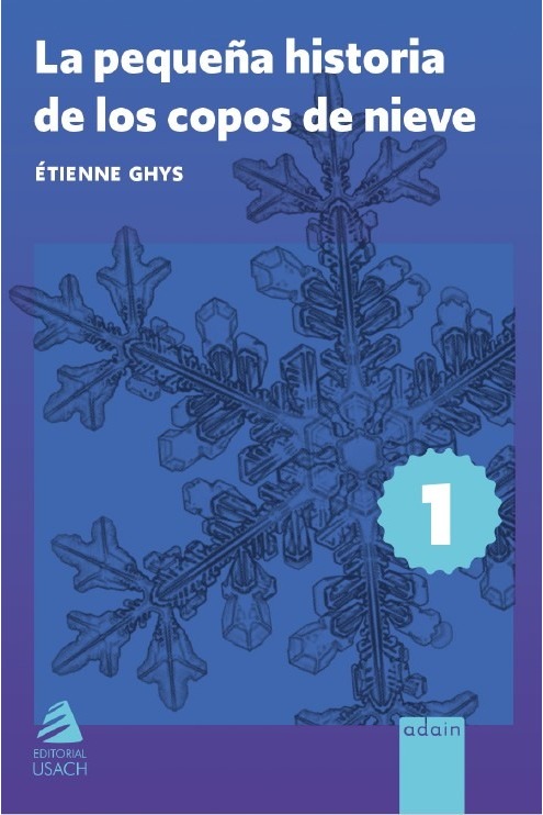 La pequeña historia de los copos de Nieve cover