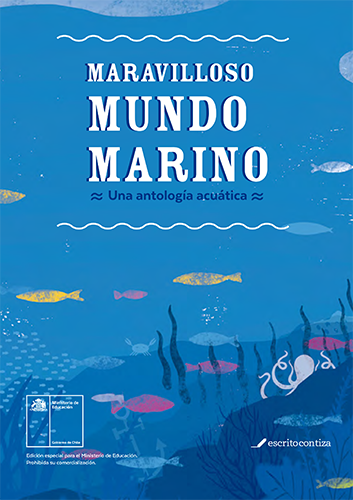 Maraviloso mundo submarino