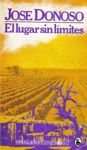 El lugar sin límites cover
