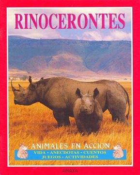 Rinocerontes cover