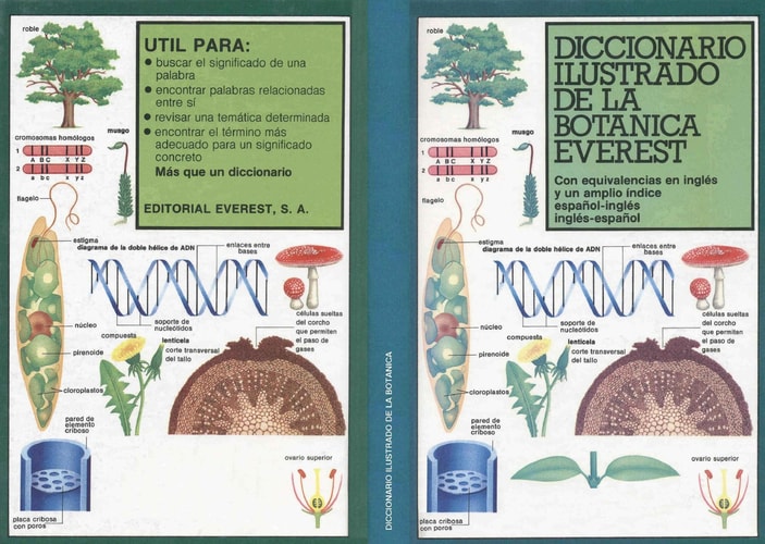 Diccionario ilustrado de la botánica con equivalencias en inglés y un amplio índice español-inglés, inglés-español cover