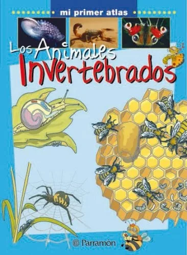 Los animales invertebrados