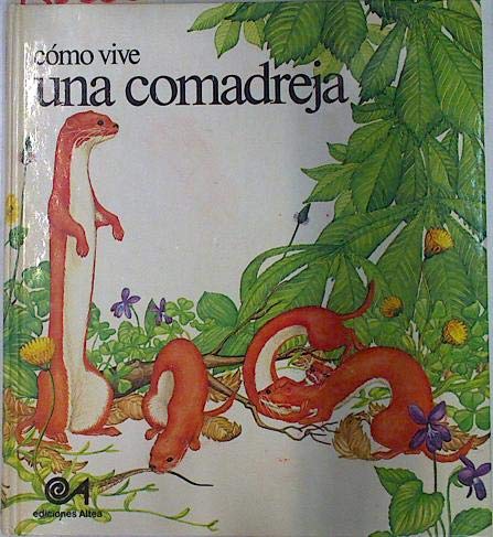 Como vive una comadreja