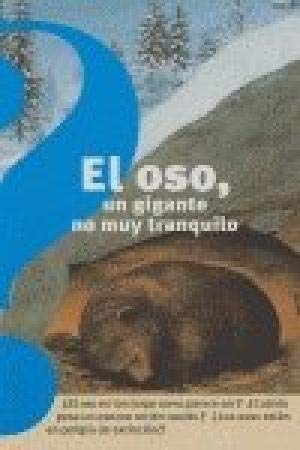 El oso, un gigante no muy tranquilo cover