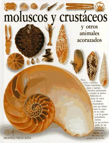 Moluscos y crustáceos y otros animales acorazados cover