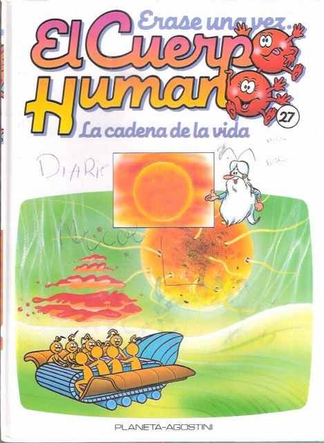 Erase una vez...El cuerpo humano: La cadena de la vida