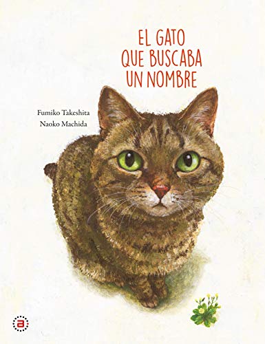 El gato que buscaba un nombre cover