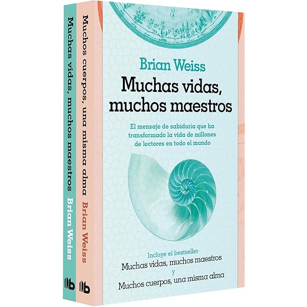 Muchas vidas, muchos maestros