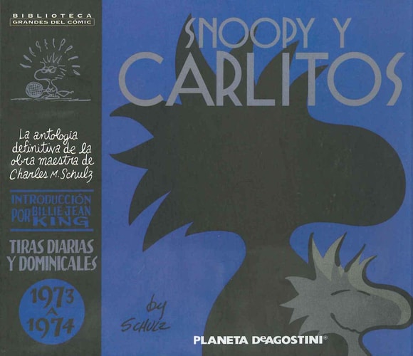 Snoopy y Carlitos cover
