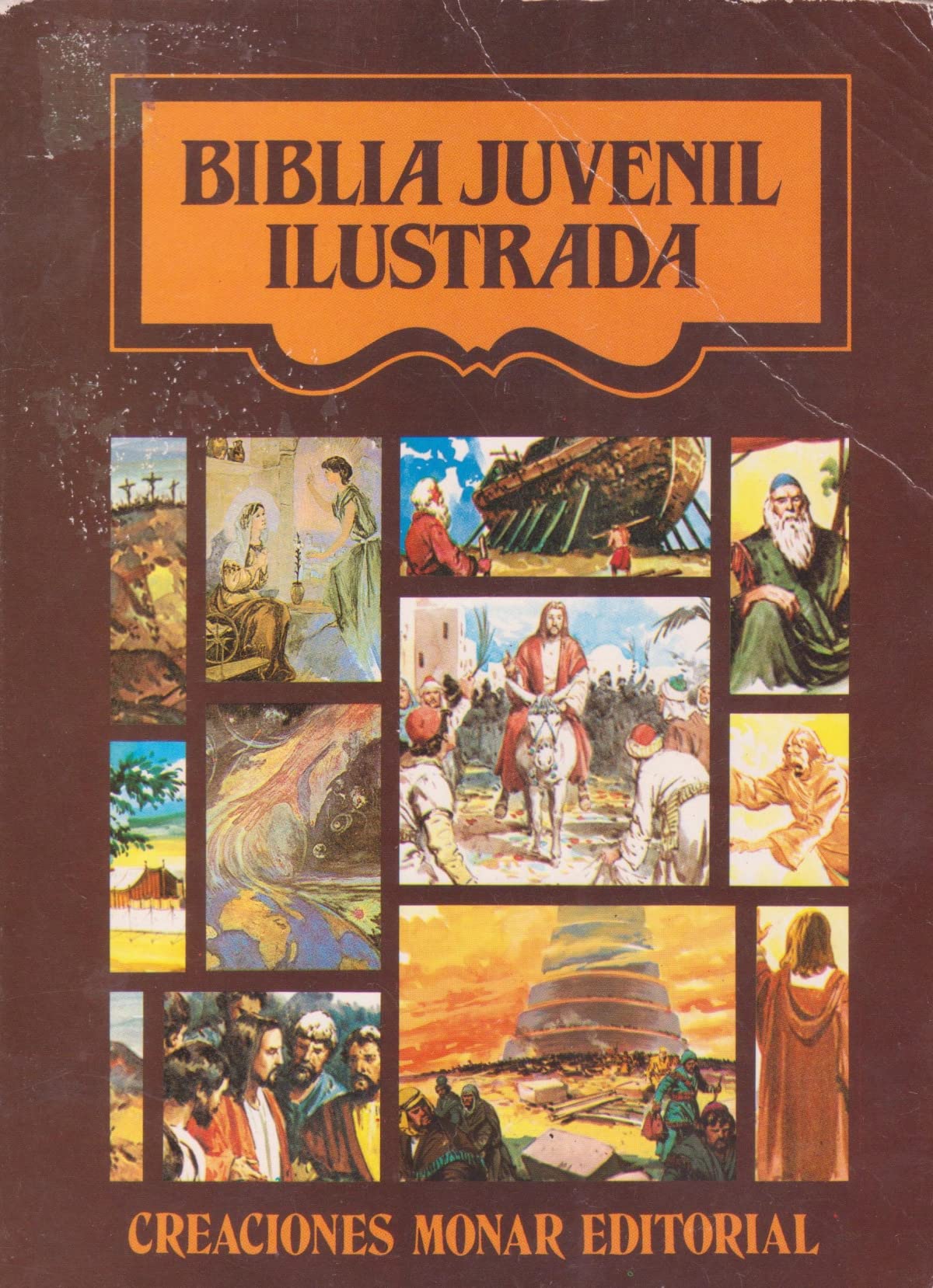 Biblia juvenil ilustrada.Antiguo y nuevo testamento cover