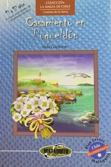 Casamiento en Puqueldón cover