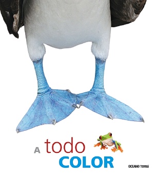 A todo color cover
