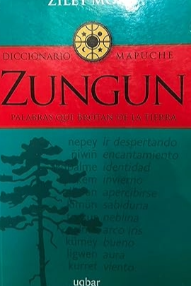 Diccionario Mapuche Zungun cover