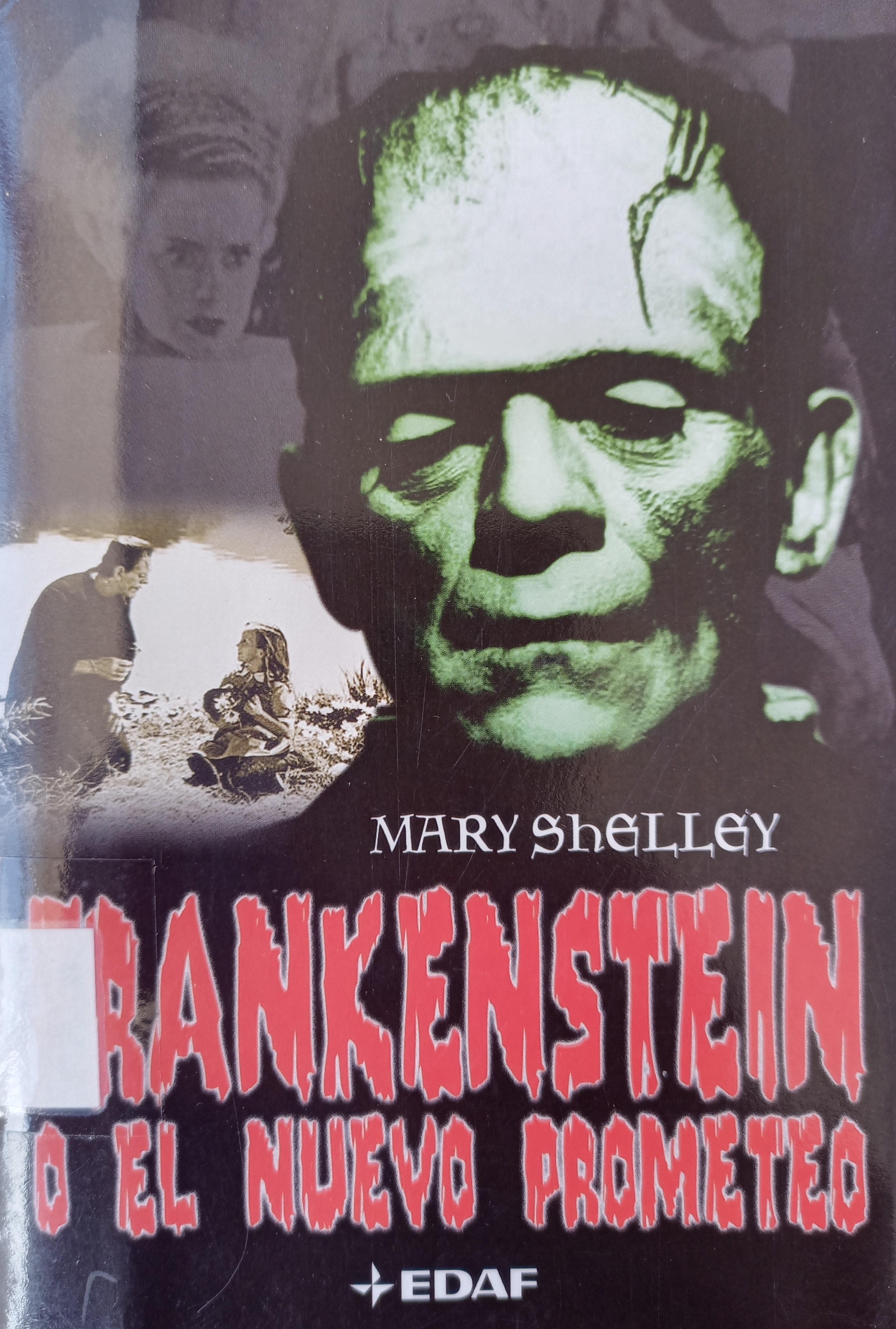 Frankenstein cover