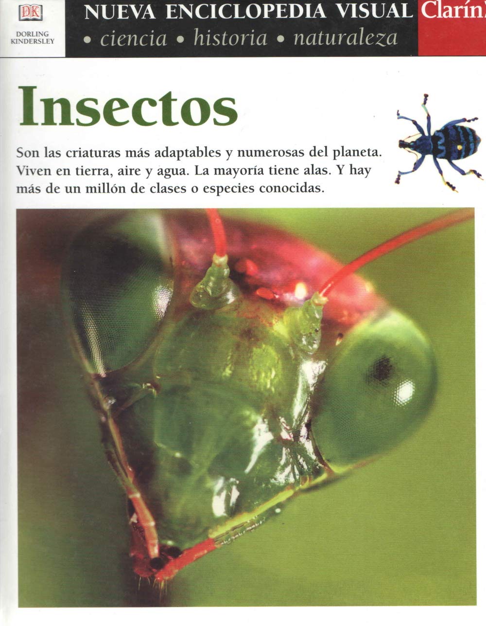 Insectos cover