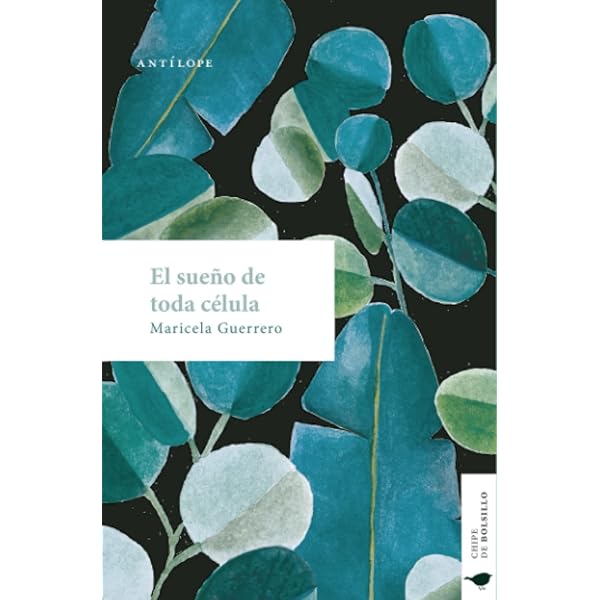 Un viejo que leía novelas de amor.