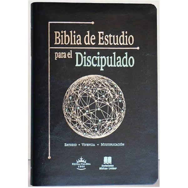 Papelucho historiador